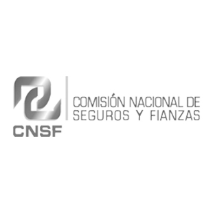 sponsor-image